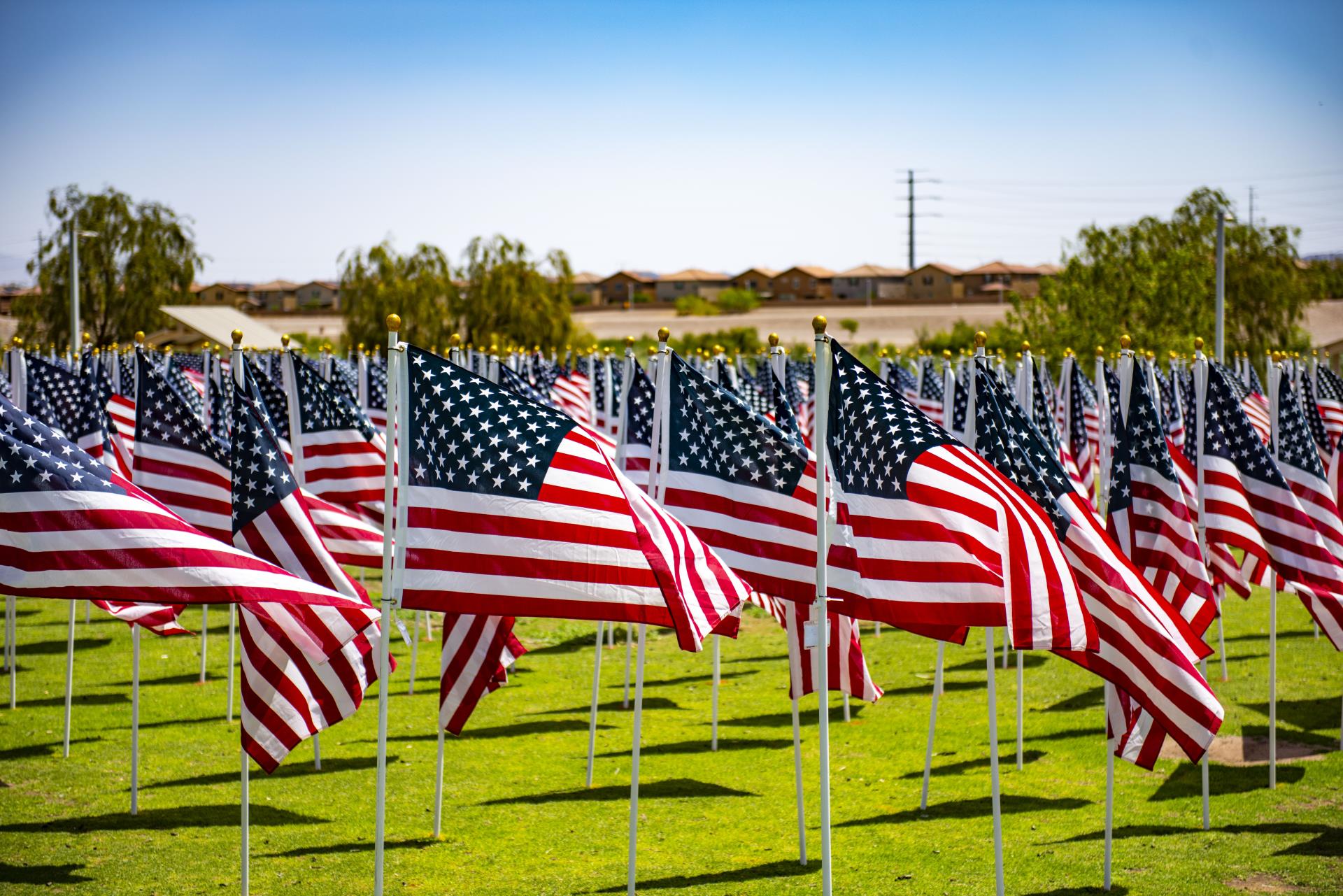 Field_of_Honor_Flags (19)