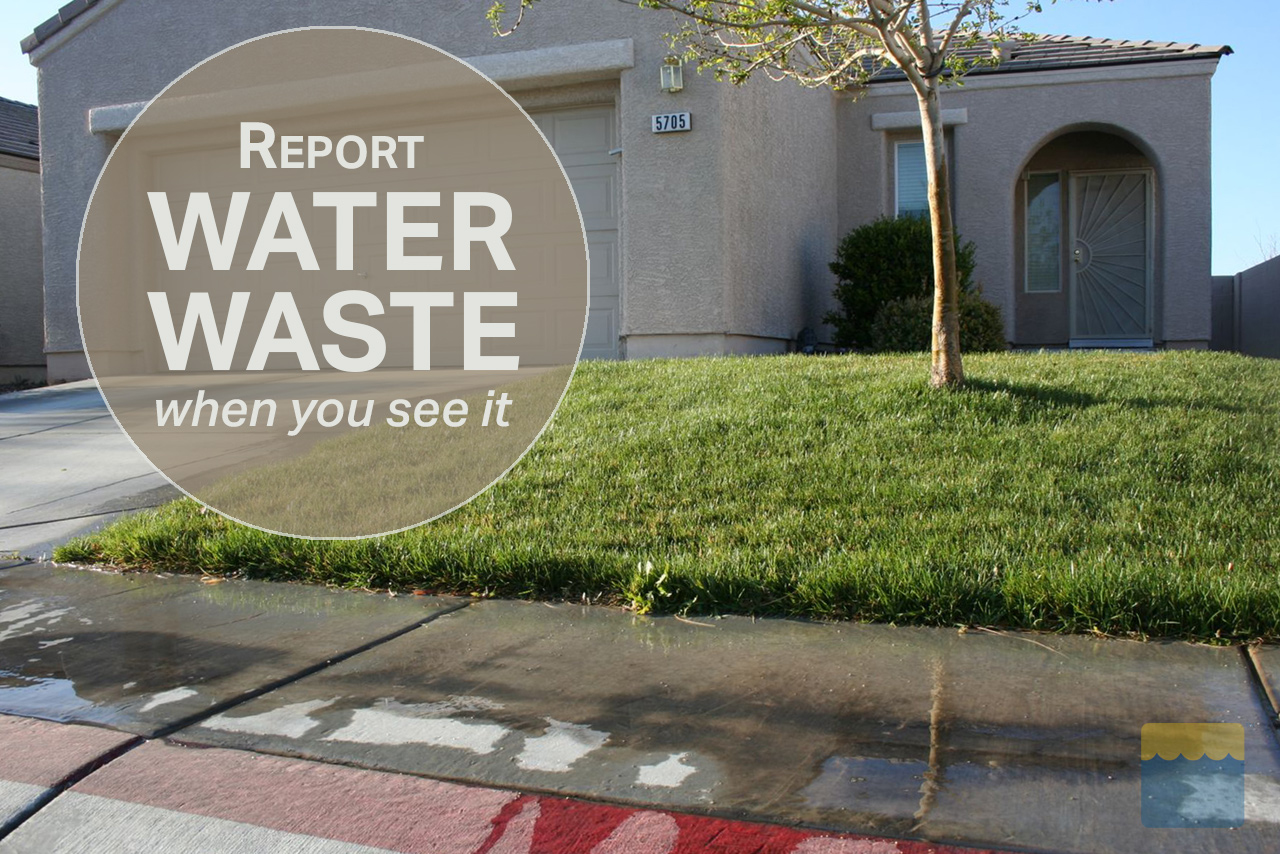 Report water waste-21-1