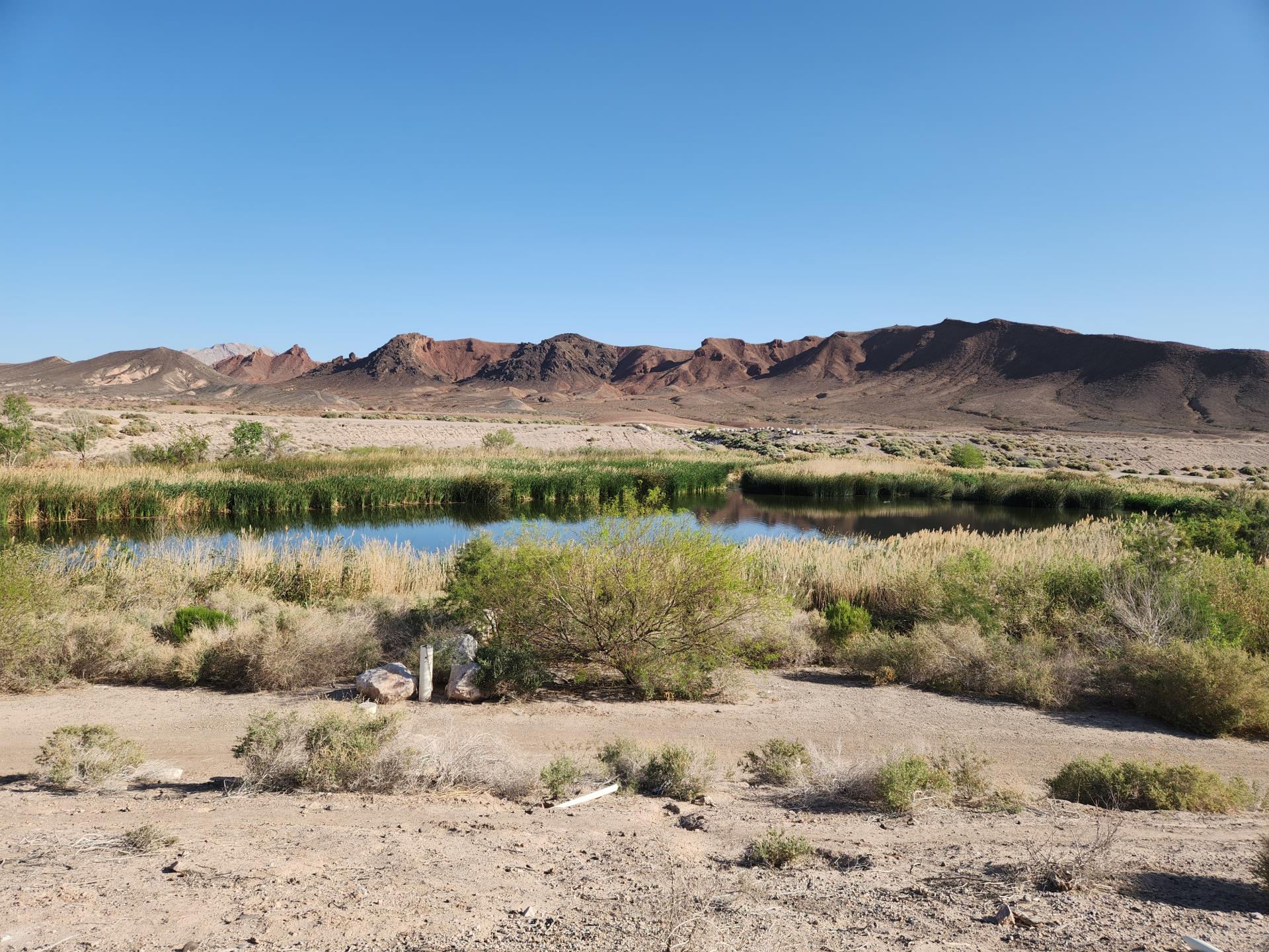 pond in open desert