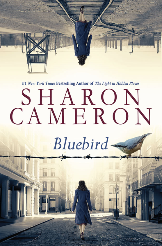 Bluebird book cover