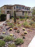 drought proof home landscaping