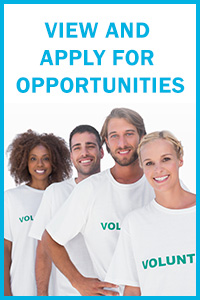 View and Apply for Opportunities button