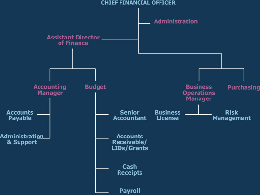 Finance Organization Chart