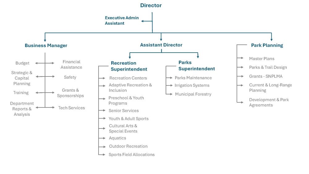 Organization chart for the parks and recreation department