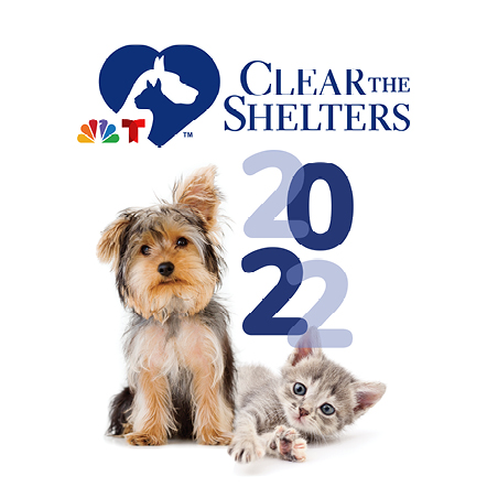Clear the Shelters  442 x 442